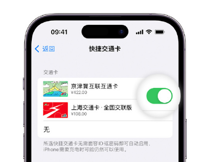 五华apple维修点分享iPhone上更换Apple Pay快捷交通卡手绘卡面 