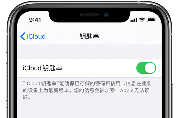 五华苹果手机维修分享在 iPhone 上开启 iCloud 钥匙串之后会储存哪些信息 